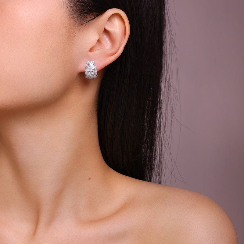 Moissanite Stud Earrings | Platinum-Plated S925 Sterling Silver Light Luxury Jewelry